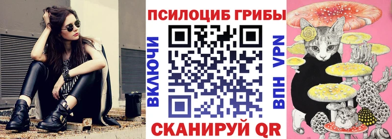 Галлюциногенные грибы Psilocybine cubensis  Ак-Довурак 